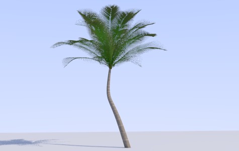 Palm Tree preview image 1